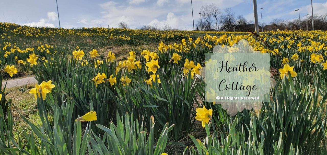 Heather Cottage Aberdeen Esterno foto